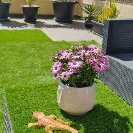 La Zenia Sabrina Apartment 5 오리후엘라 외부 사진