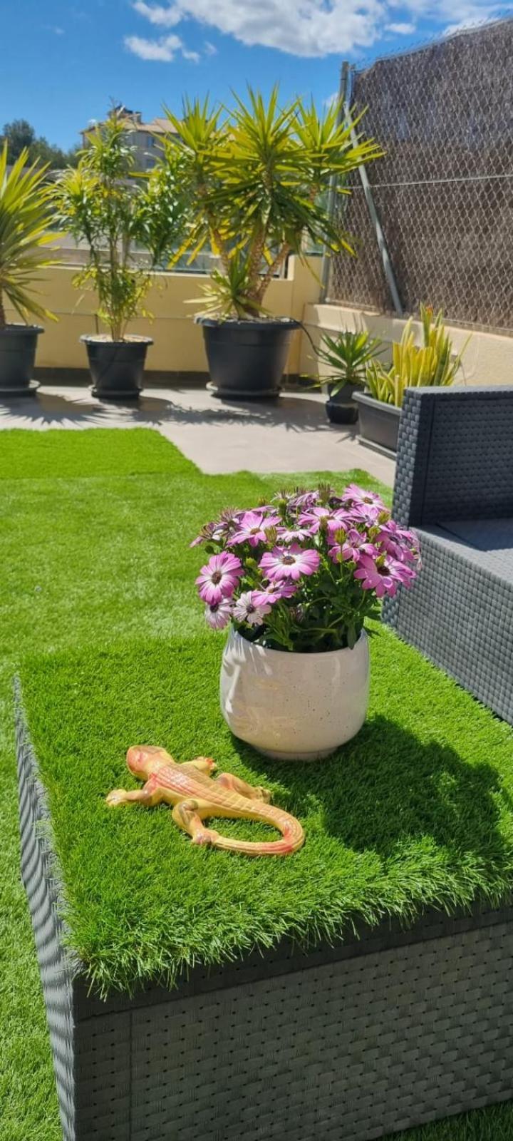 La Zenia Sabrina Apartment 5 오리후엘라 외부 사진
